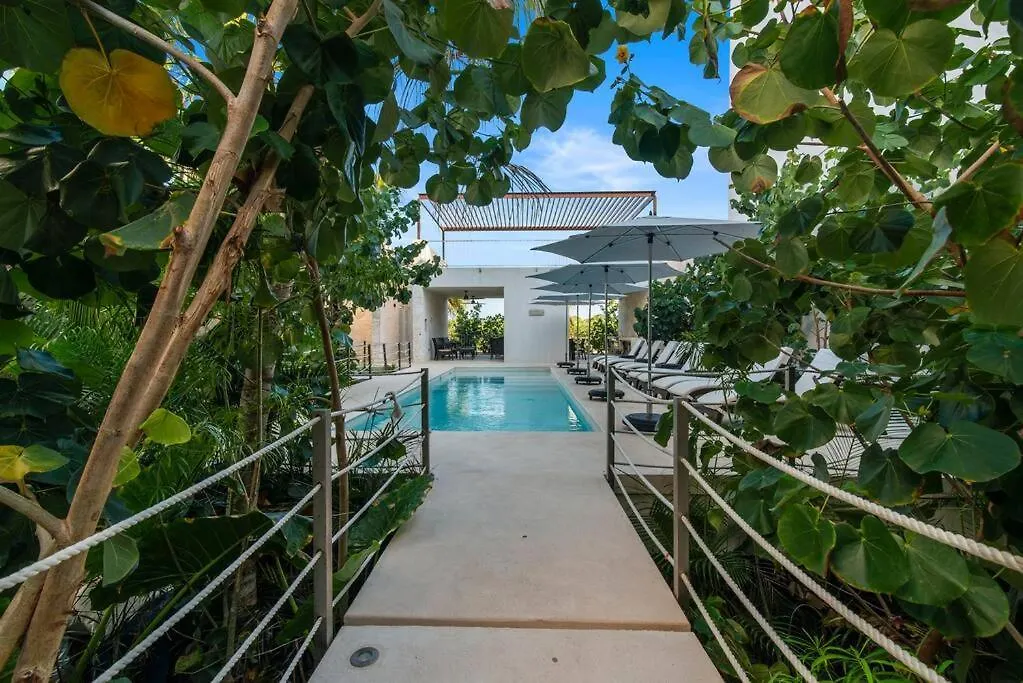 Akumal Skies Private Terrace W Jacuzzi W Sea Views Walk To Beach Mexico